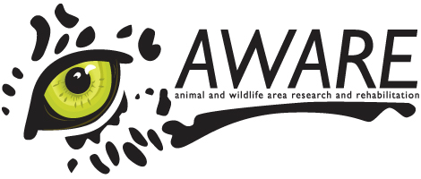 AWARE logo