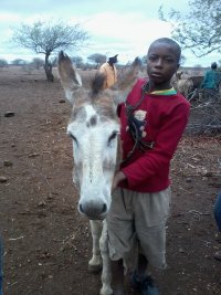 donkey and owner