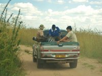 Monitoring zebra on the journey